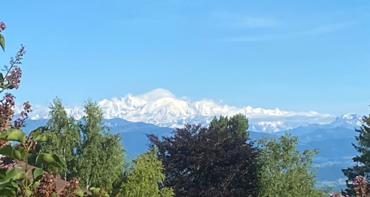 En exclusivité: Sequoia Villa, Arzier-Le Muids à 12 minutes de Nyon image 9