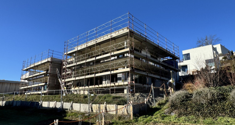 Villa 5,5 pièces en construction  image 1