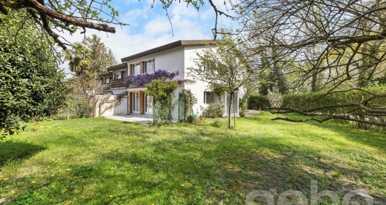 Opportunité rare : maison à rénover dans un quartier recherché image 3