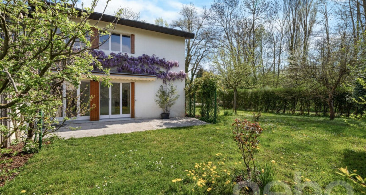 Opportunité rare : maison à rénover dans un quartier recherché image 1