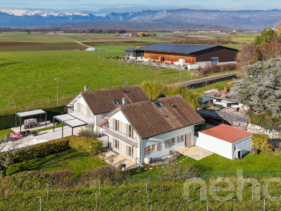 Sérénité en bordure des vignes image 1