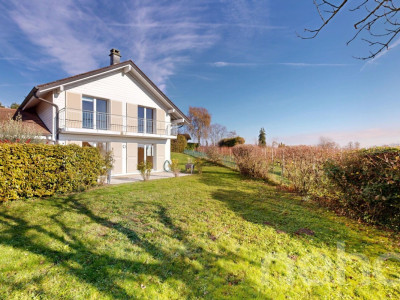 Sérénité en bordure des vignes image 3