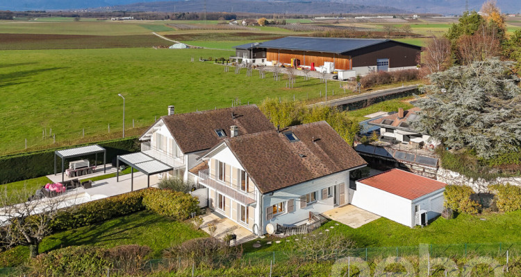 Sérénité en bordure des vignes image 1