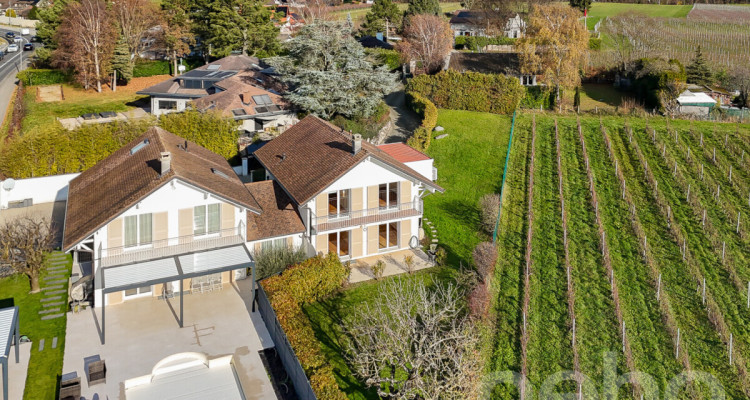 Sérénité en bordure des vignes image 2