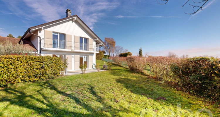 Sérénité en bordure des vignes image 3