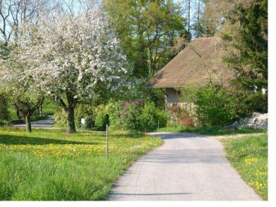 Très grande maison en viager occupé sans rente image 2