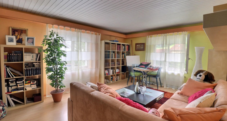 Grande maison de 2 logements avec piscine en viager occupé sans rente image 11