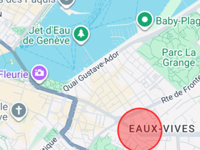 Beau 4P avec balcon – Eaux-Vives image 1