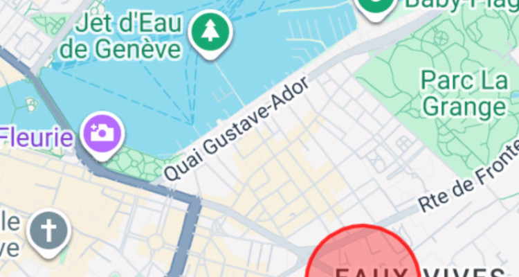 Beau 4P avec balcon – Eaux-Vives image 1