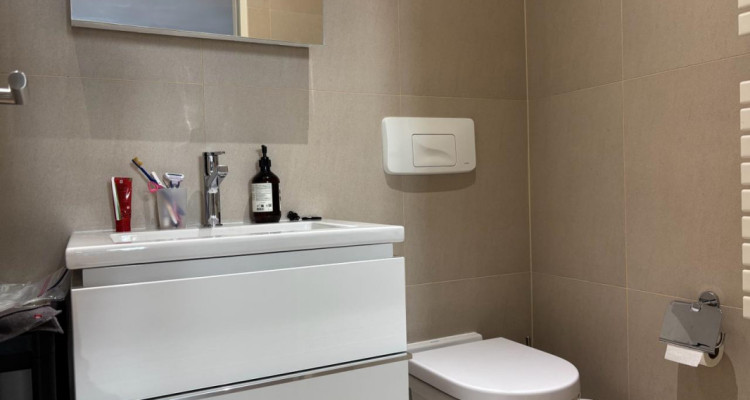 Magnifique et récent 3 pièces, hyper-centre de Genève image 9