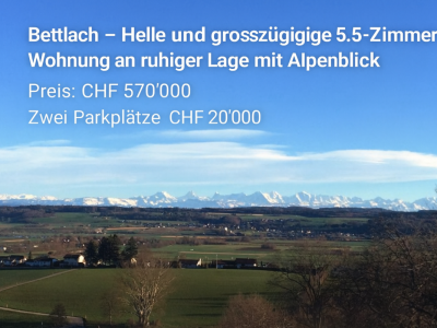Helle und grosszügige 5.5-Zimmer-Wohnung an ruhiger Lage mit Alpenblick image 1