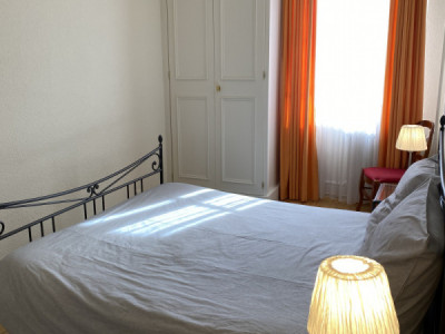 Beautiful Furnished 4 pieces Apartment Carouge (Geneva) image 7