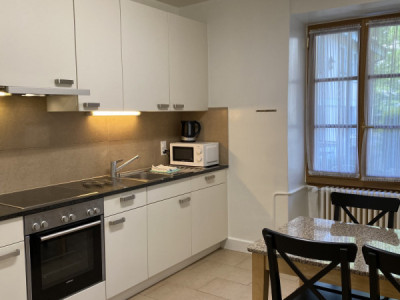 Beautiful Furnished 4 pieces Apartment Carouge (Geneva) image 6