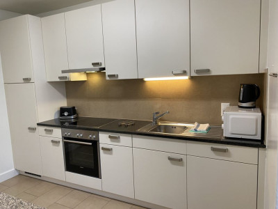 Beautiful Furnished 4 pieces Apartment Carouge (Geneva) image 5