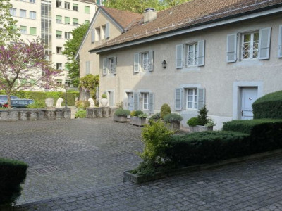 Beautiful Furnished 4 pieces Apartment Carouge (Geneva) image 1