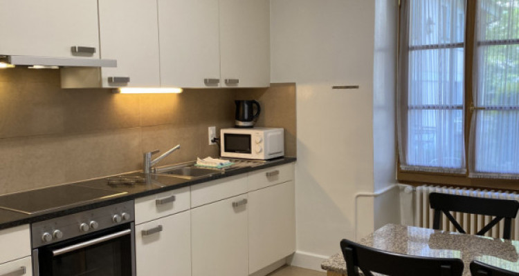 Beautiful Furnished 4 pieces Apartment Carouge (Geneva) image 6