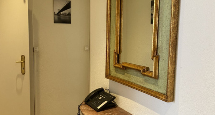 Beautiful Furnished 4 pieces Apartment Carouge (Geneva) image 4