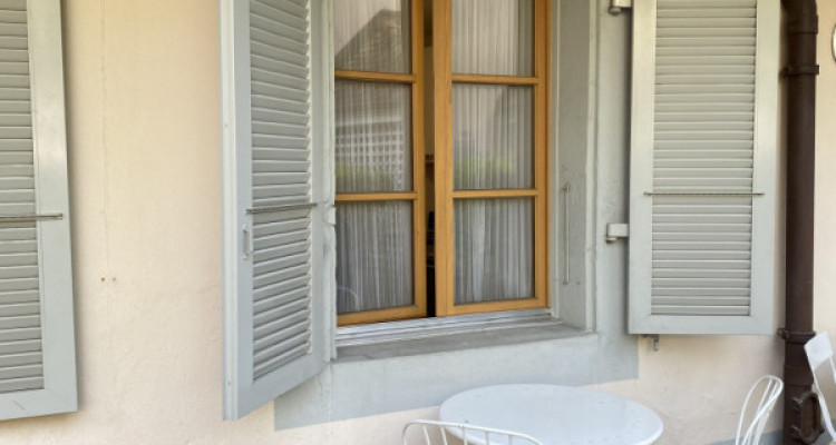 Beautiful Furnished 4 pieces Apartment Carouge (Geneva) image 9