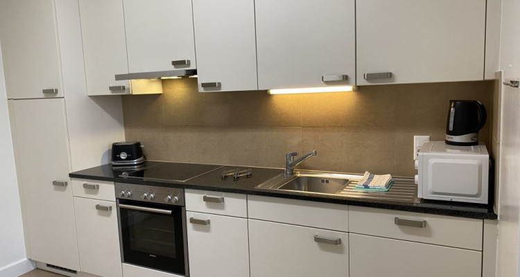 Beautiful Furnished 4 pieces Apartment Carouge (Geneva) image 5