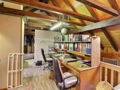 Magnifique et spacieuse maison en viager occupé sans rente image 6