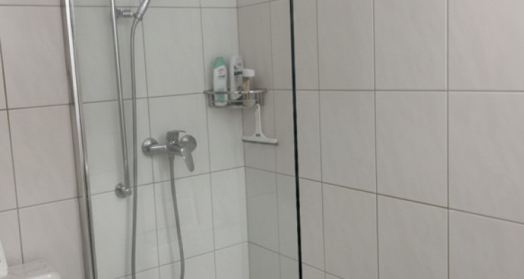 A vendre à Saxon dans quartier résidentiel image 6