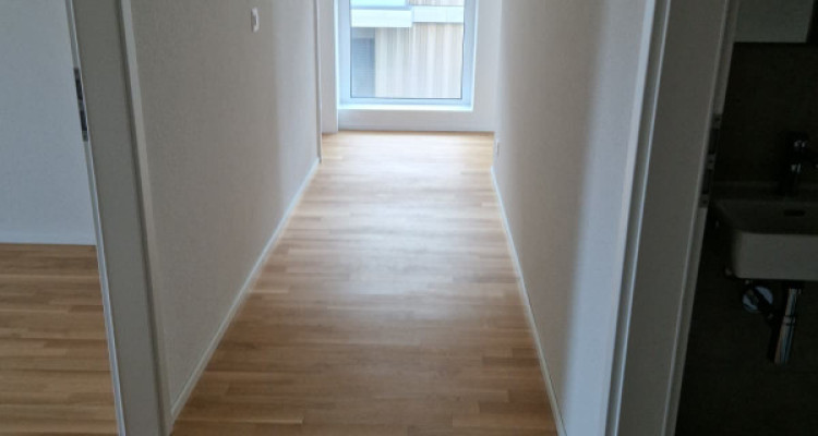 Appartement dexception au Quartier de lÉtang  image 2