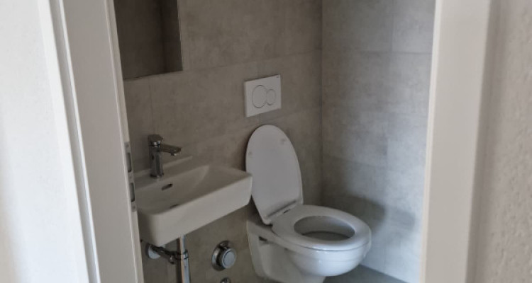 Appartement dexception au Quartier de lÉtang  image 5