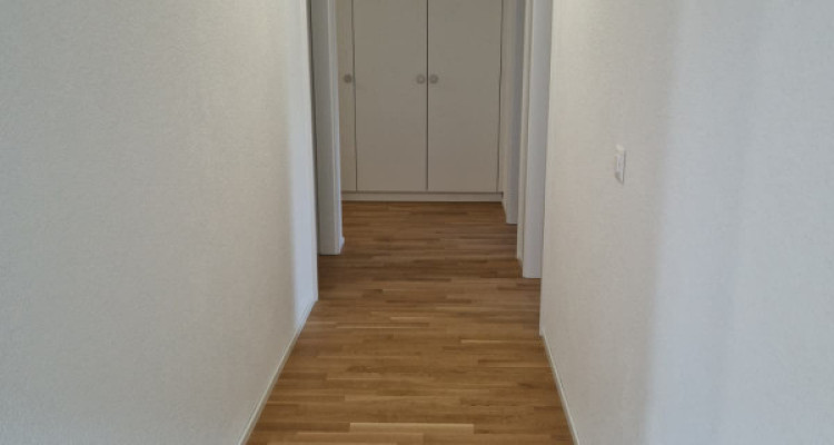 Appartement dexception au Quartier de lÉtang  image 6