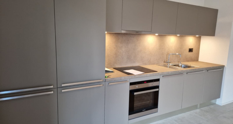 Appartement dexception au Quartier de lÉtang  image 9