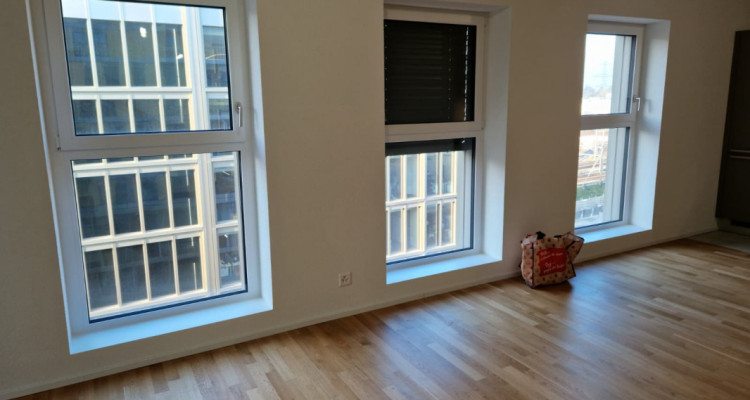 Appartement dexception au Quartier de lÉtang  image 12