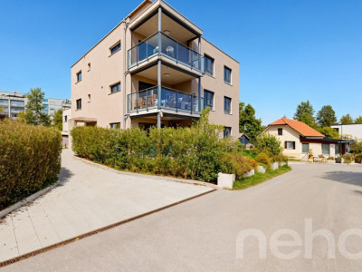 Attique plein sud au calme entre ville et campagne image 3