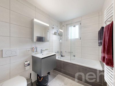 Attique plein sud au calme entre ville et campagne image 8