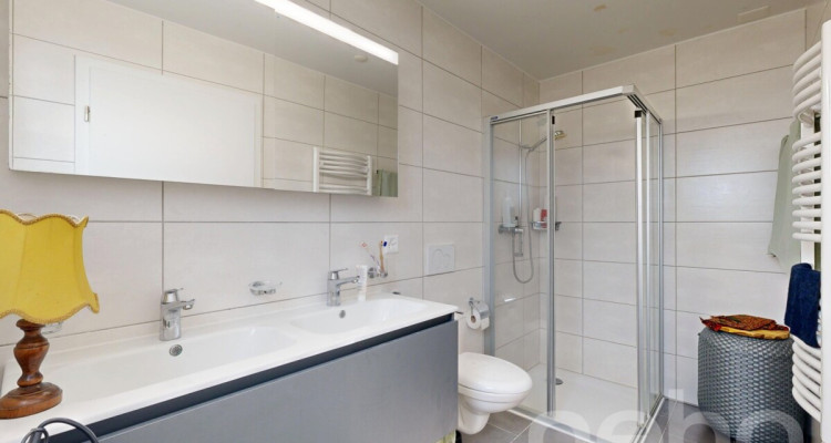 Attique plein sud au calme entre ville et campagne image 10