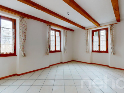 Immeuble locatif et 3 surfaces activités/stockage image 5