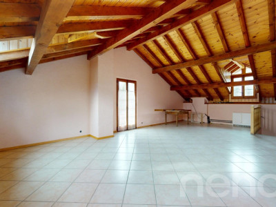 Immeuble locatif et 3 surfaces activités/stockage image 8