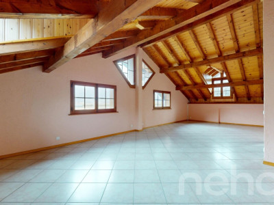 Immeuble locatif et 3 surfaces activités/stockage image 10