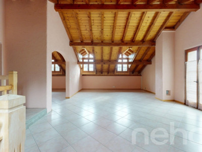 Immeuble locatif et 3 surfaces activités/stockage image 11