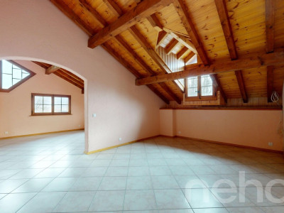 Immeuble locatif et 3 surfaces activités/stockage image 12