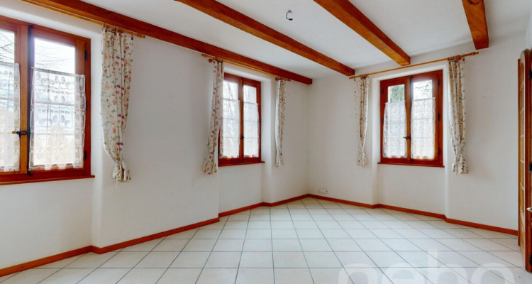 Immeuble locatif et 3 surfaces activités/stockage image 5