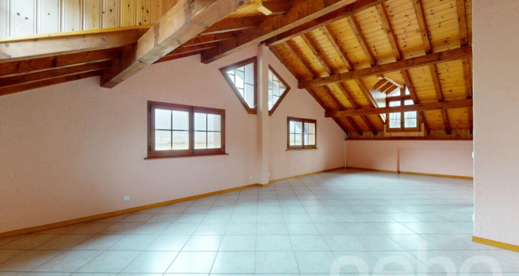 Immeuble locatif et 3 surfaces activités/stockage image 10