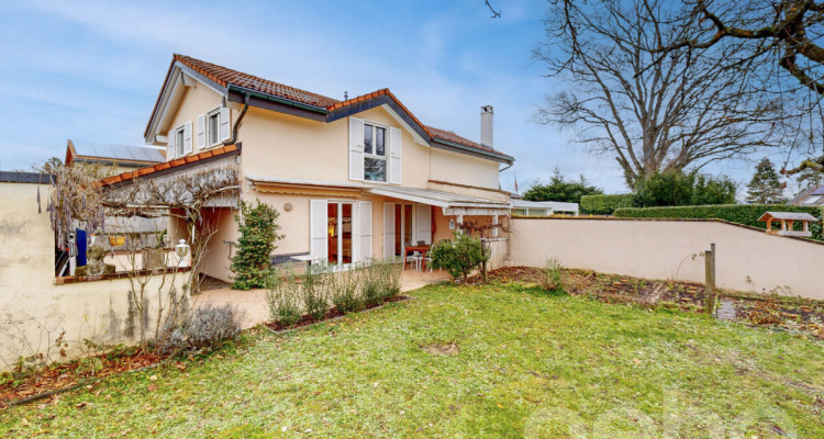 Dans un chemin sans issue image 1