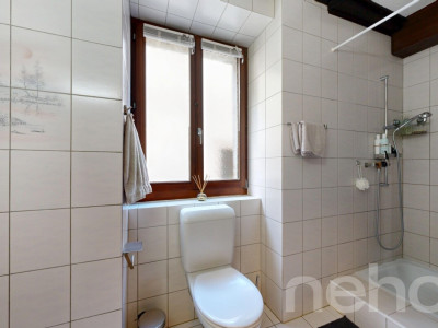 Appartement lumineux 4.5 pièces avec jardin ? Quartier calme image 10