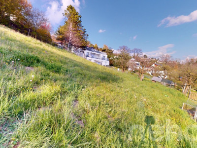 Terrain à bâtir avec vue panoramique sur le lac et les Alpes image 1