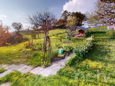 Terrain à bâtir avec vue panoramique sur le lac et les Alpes image 2