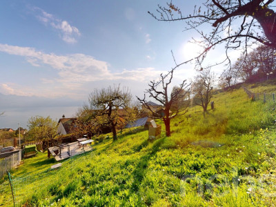 Terrain à bâtir avec vue panoramique sur le lac et les Alpes image 3