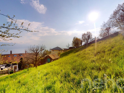 Terrain à bâtir avec vue panoramique sur le lac et les Alpes image 4