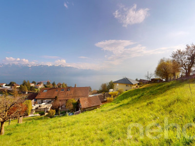 Terrain à bâtir avec vue panoramique sur le lac et les Alpes image 5