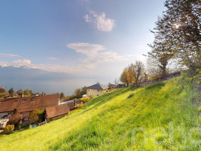 Terrain à bâtir avec vue panoramique sur le lac et les Alpes image 7