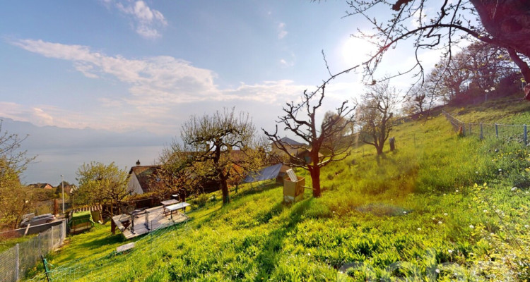 Terrain à bâtir avec vue panoramique sur le lac et les Alpes image 3