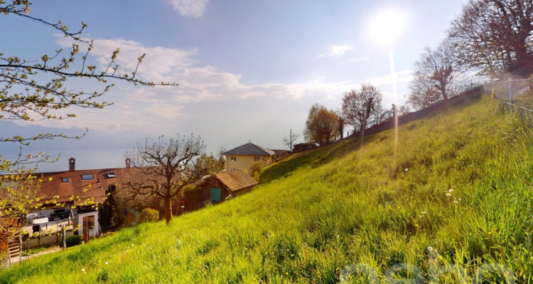 Terrain à bâtir avec vue panoramique sur le lac et les Alpes image 4